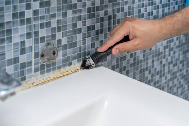 Best Mold Remediation  in Madill, OK