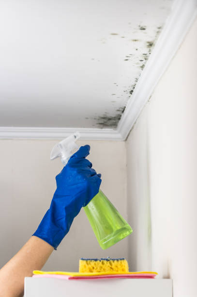 Best Mold Testing  in Madill, OK