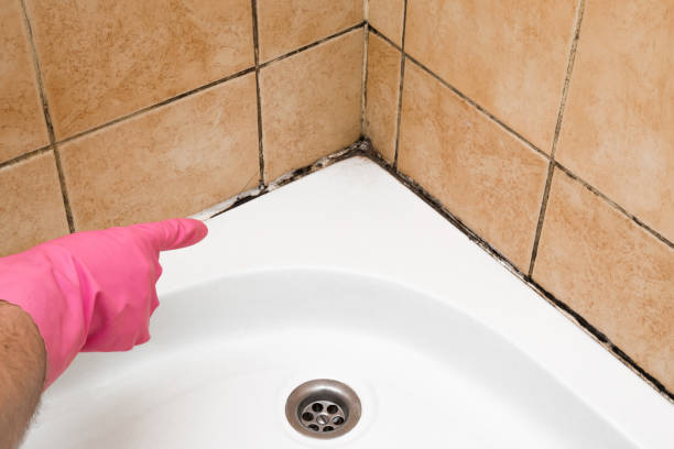 Best Mold Inspection  in Madill, OK